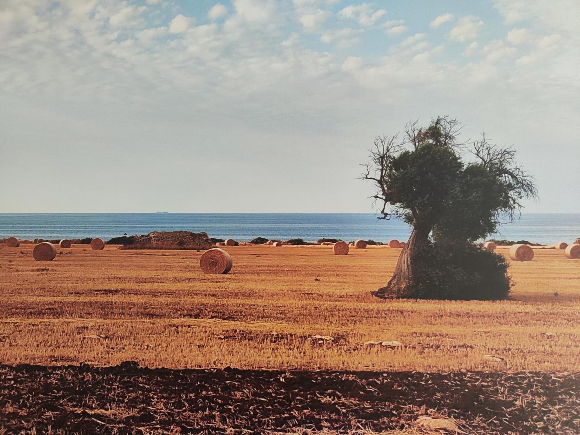 La Suite Di Eva Mola di Bari Exterior foto